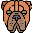 shar pei icon