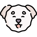 bichón frisé icon