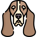 basset hound icon