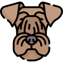 terrier bohemio icon