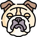 buldog icon