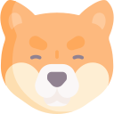 shiba inu 