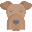 airedale-terrier