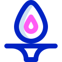 antorcha icon