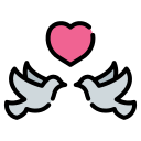 pájaros del amor icon