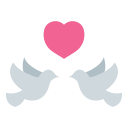 pájaros del amor icon