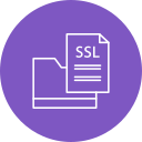 ssl icon