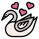 cisne icon