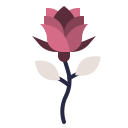 rosa icon