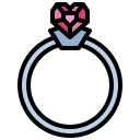 anillo icon