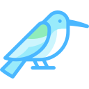 colibrí icon