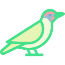 pájaro carpintero icon