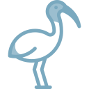 ibis icon