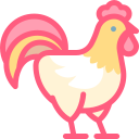 pollo