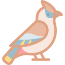 waxwing icon