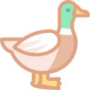 pato icon