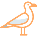 gaviota icon