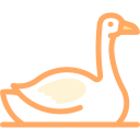 cisne icon