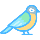 tomtit icon