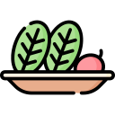 vegetales icon