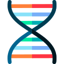 estructura del adn