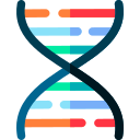 estructura del adn 