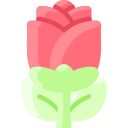 rosa 