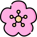 sakura icon