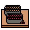 sushi icon