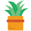 aloe vera icon