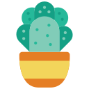 cactus icon