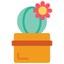 cactus icon