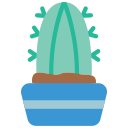 cactus icon