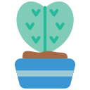 cactus icon