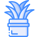 aloe vera icon