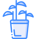 pflanze