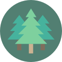 bosque icon