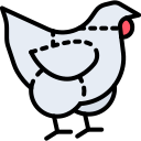 pollo icon