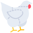 pollo