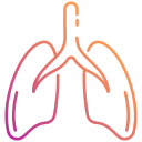 pulmones icon