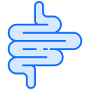 intestino icon