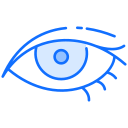 ojo icon