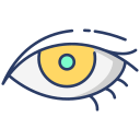 ojo icon