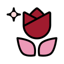 rosa icon