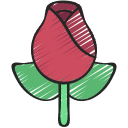 une rose 