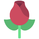 une rose 