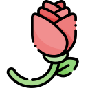 rosa icon