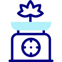 escala de peso icon