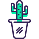 cactus icon