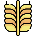 trigo icon